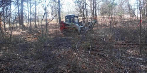 Brush Clearing Bid – Free Estimate Brush Clearing Bid - Free Estimate
