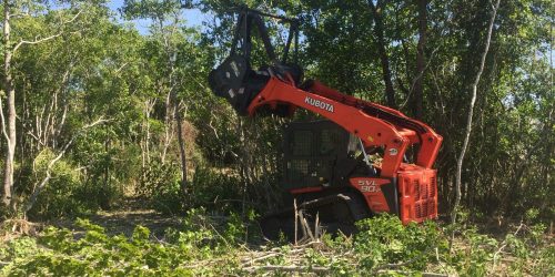 Brush Clearing – Free Estimate Brush Clearing - Free Estimate
