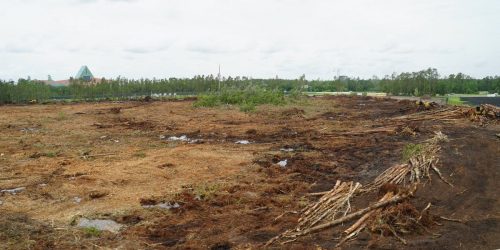 Land Clearing Estimate – Free Estimates Land Clearing Estimate - Free Estimates