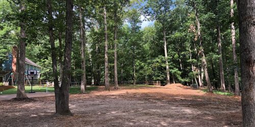 Lot clearing Lot clearing